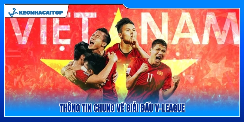 Tổng quan về giải bóng đá V-League