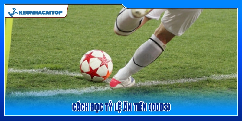  Cách hiểu các chỉ số thanh toán trong kèo phạt góc